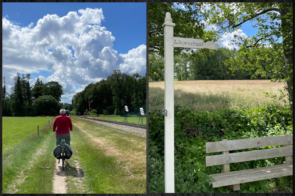 VSM Trail fietsen archief