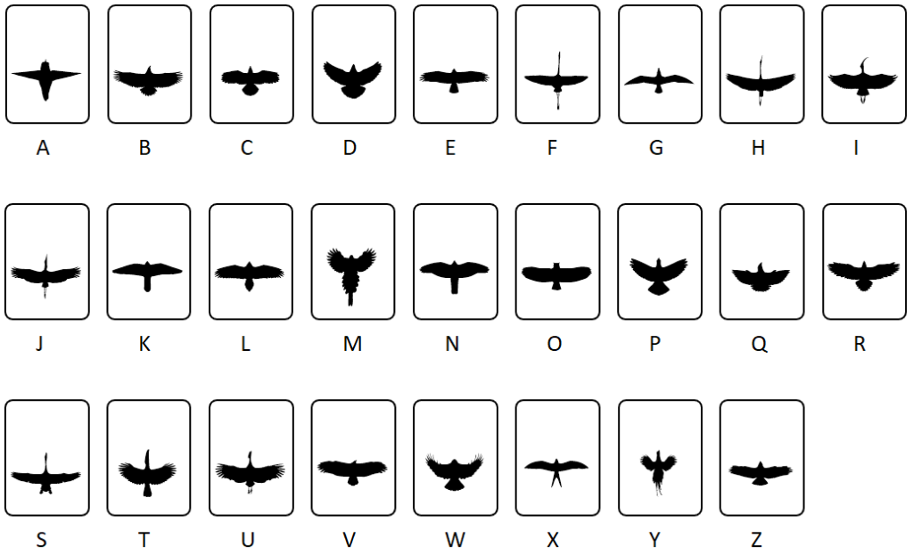 Wingspans
CAPS
vogels