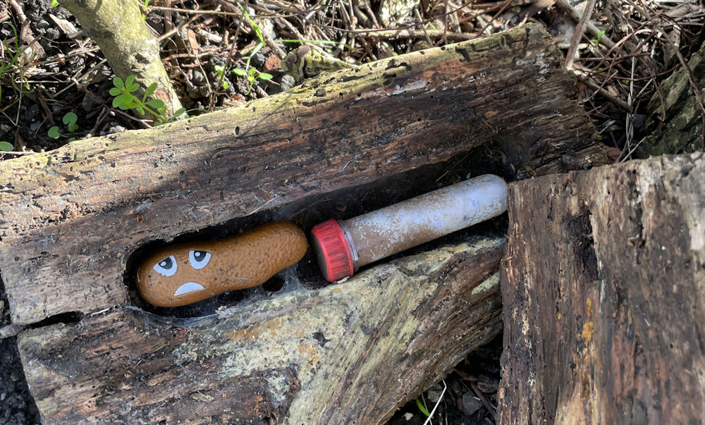 Geocache