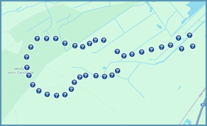 Gitaar Fleetwood Mac