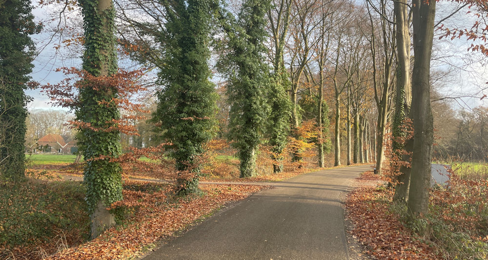 Mooi weggetje van de GeoTour
